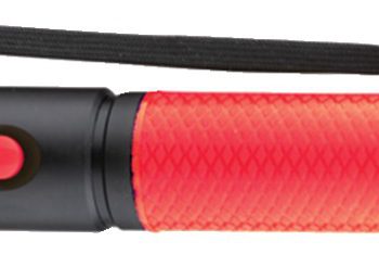 LAMPE TORCHE 1W - PROLIGHT 1